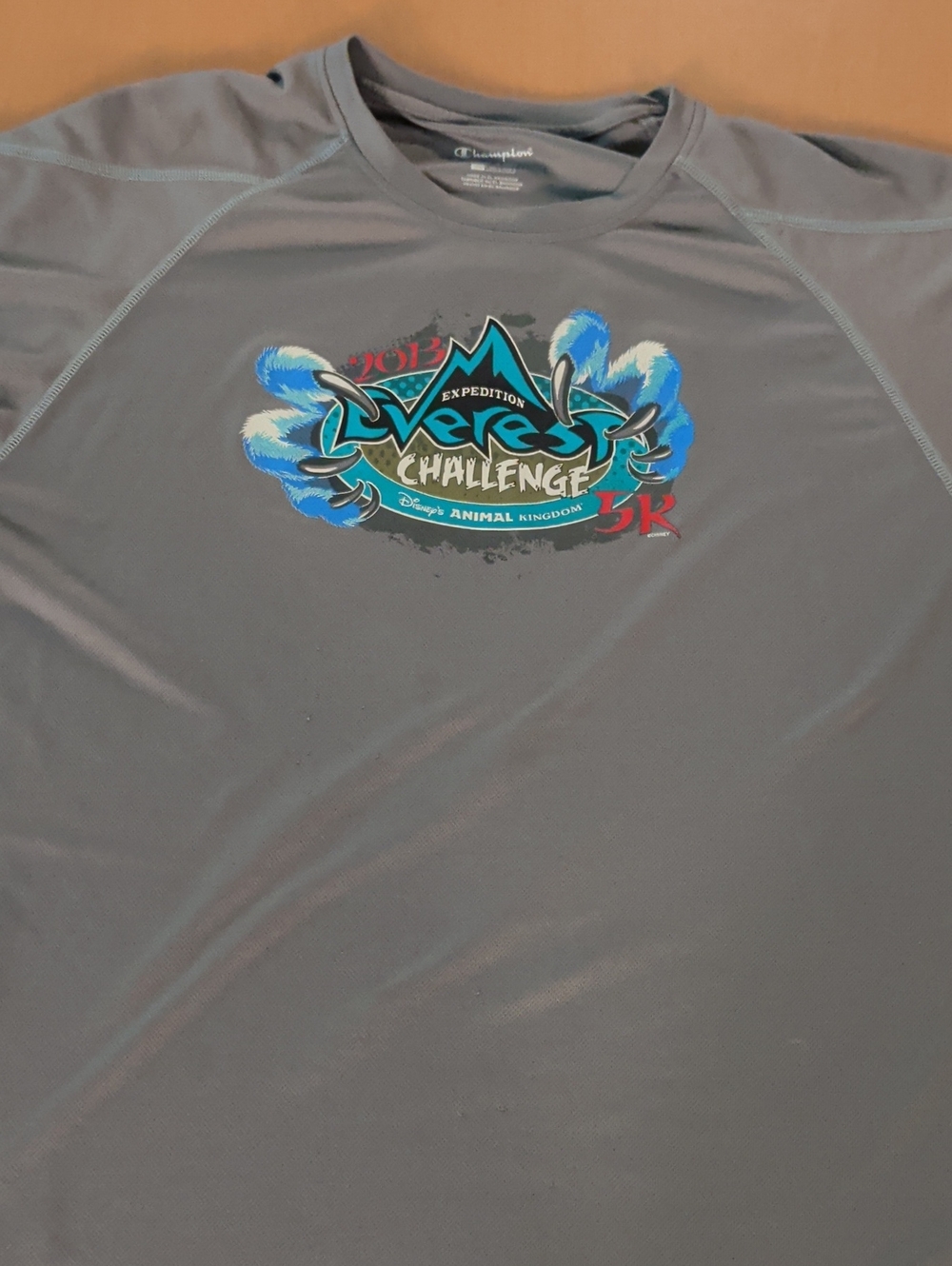 Champion Men’s Gray Graphic Live & Let Live Swim Rash Guard
